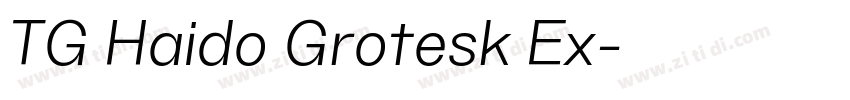 TG Haido Grotesk Ex字体转换